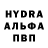 Каннабис сатива Bloder