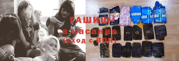 сатива Бородино