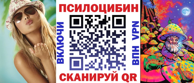 Псилоцибиновые грибы Psilocybine cubensis  Купить  Хвалынск 